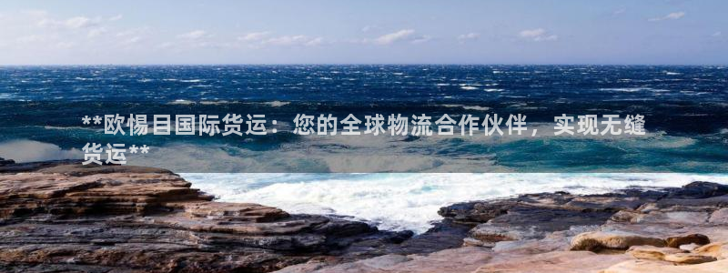 尊龙 5：**欧惕目国际货运：您的全球物流合作伙伴，实现
