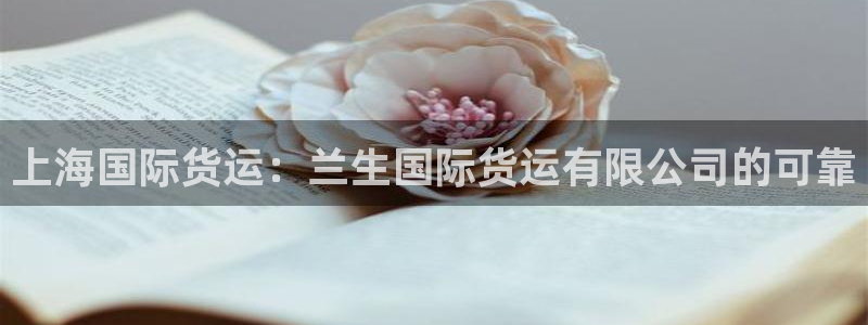 尊龙网站登录：上海国际货运：兰生国际货运有限公司的可靠
