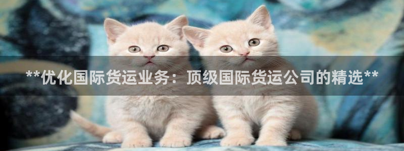 尊龙凯时是大平台吗：**优化国际货运业务：顶级国际货运公