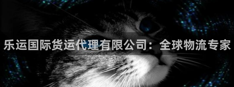 尊龙新版app首页：乐运国际货运代理有限公司：全球物流专