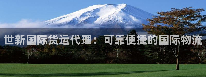 尊龙凯时人生就是搏z6com：世新国际货运代理：可靠便捷