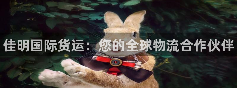 尊龙凯时人生就是搏!平台：佳明国际货运：您的全球物流合作