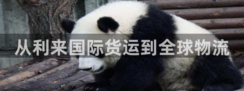 尊龙—人生就是博：从利来国际货运到全球物流