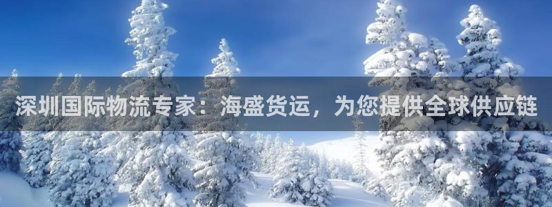 Z6尊龙官网入口：深圳国际物流专家：海盛货运，为您提供全