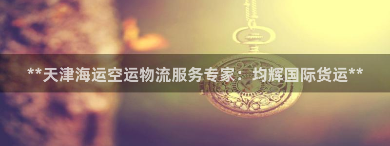 尊龙2016：**天津海运空运物流服务专家：均辉国际货运
