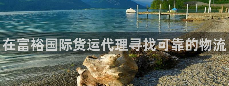 尊龙凯时为什么不封：在富裕国际货运代理寻找可靠的物流