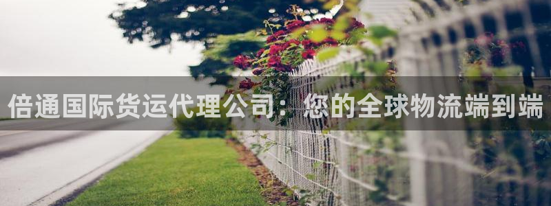 尊龙z6官网：倍通国际货运代理公司：您的全球物流端到端