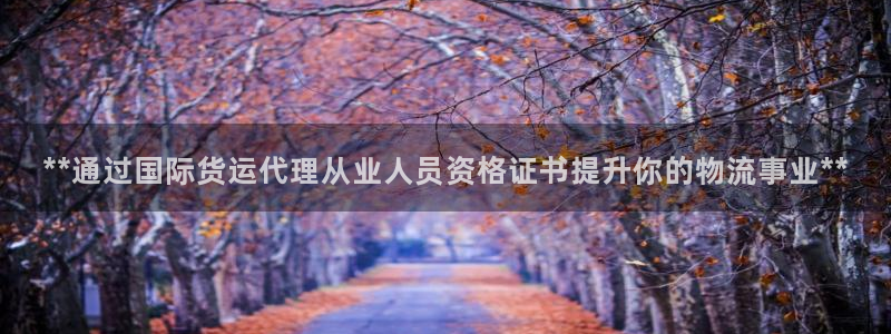 尊龙实业：**通过国际货运代理从业人员资格证书提升你的物