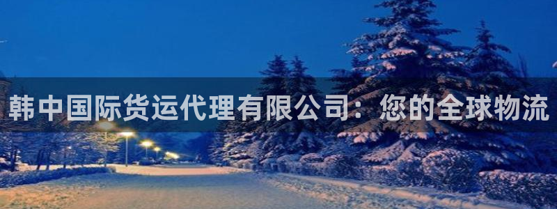 尊龙凯时发展历程：韩中国际货运代理有限公司：您的全球物流