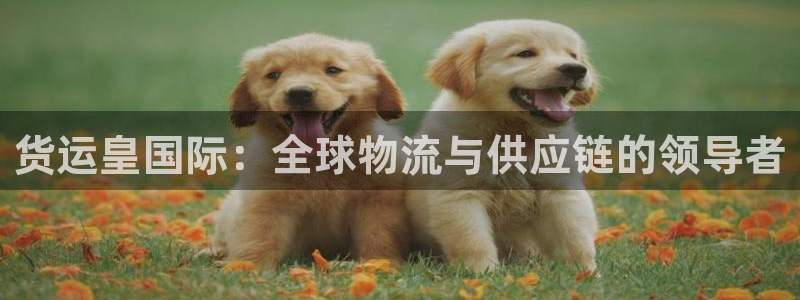 尊龙凯时怎么样没听说过：货运皇国际：全球物流与供应链的领