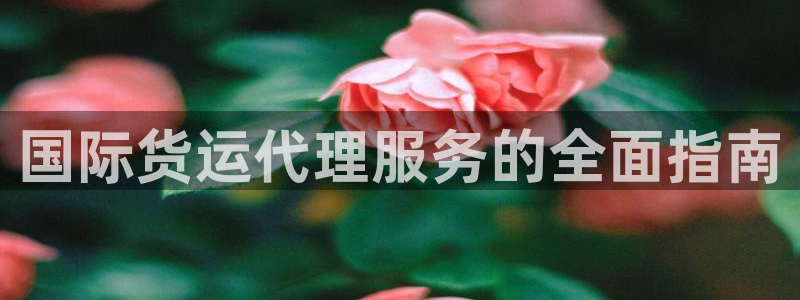 尊龙am i blue：国际货运代理服务的全面指南