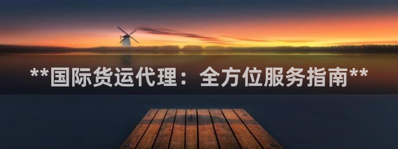 尊龙官网/首选kpm：**国际货运代理：全方位服务指南*