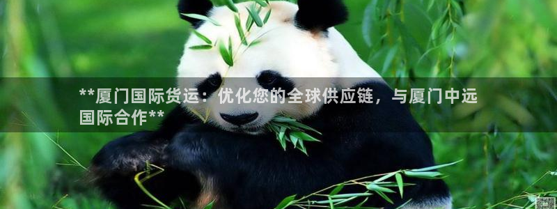 尊龙d88官网登录：**厦门国际货运：优化您的全球供应链