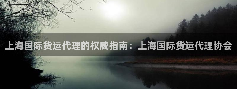 尊龙人品怎么样：上海国际货运代理的权威指南：上海国际货运