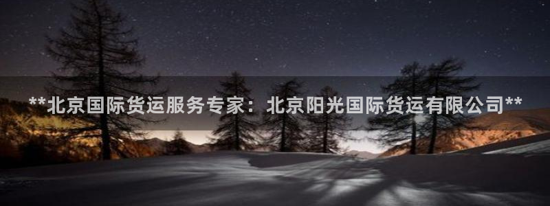 尊龙人生就是博网站：**北京国际货运服务专家：北京阳光国