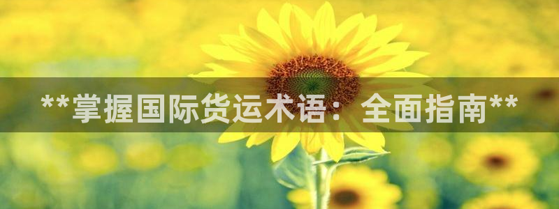 尊龙贴吧：**掌握国际货运术语：全面指南**