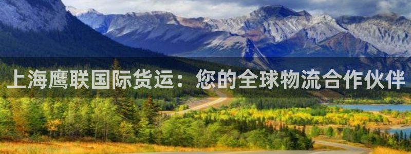 尊龙凯时官网网页版：上海鹰联国际货运：您的全球物流合作伙