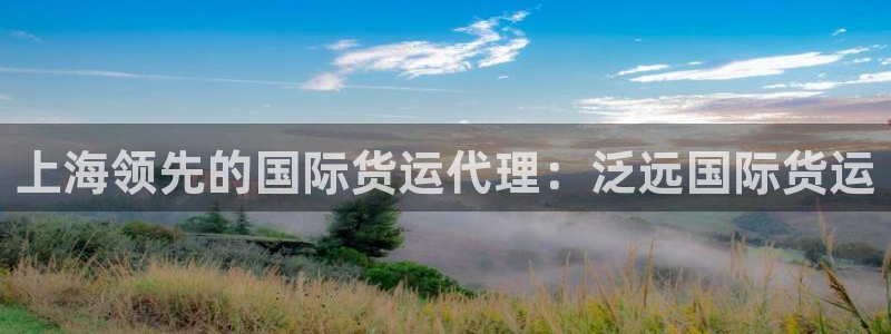 百度一下尊龙：上海领先的国际货运代理：泛远国际货运
