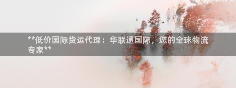 尊龙百度百科：**低价国际货运代理：华联通国际，您的全球