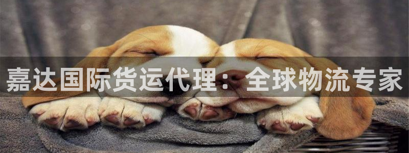 尊龙官网：嘉达国际货运代理：全球物流专家