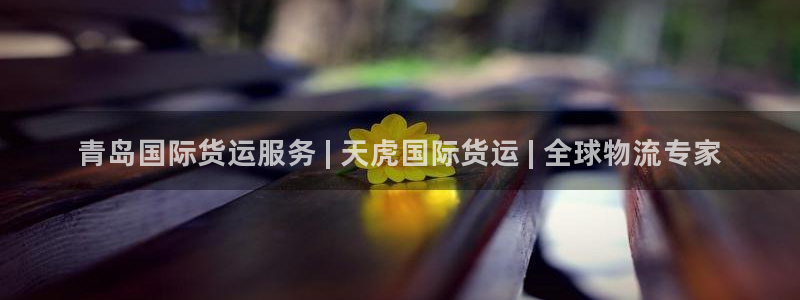 尊龙官网下载：青岛国际货运服务 | 天虎国际货运 | 全