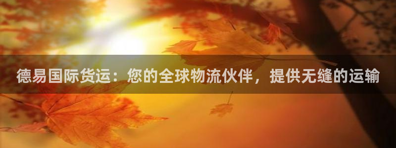 尊龙AG旗舰厅APP：德易国际货运：您的全球物流伙伴，提