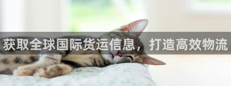 尊龙凯时人生就是博·(中国)官网官：获取全球国际货运信息