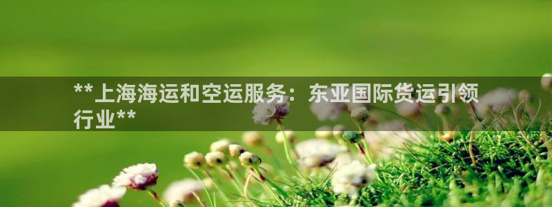 尊龙凯时v7要冲多少：**上海海运和空运服务：东亚国际货