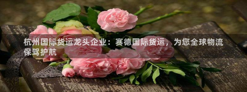 尊龙凯时论坛：杭州国际货运龙头企业：赛德国际货运，为您全