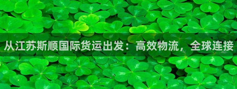 尊龙旗舰厅app：从江苏斯顺国际货运出发：高效物流，全球