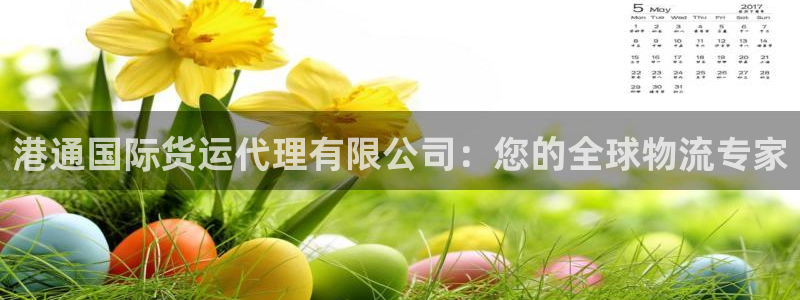 尊龙凯时网站登录：港通国际货运代理有限公司：您的全球物流