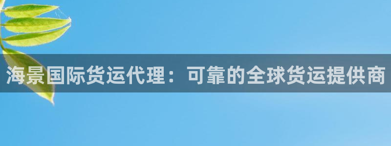 尊龙网址是选访问zd207：海景国际货运代理：可靠的全球