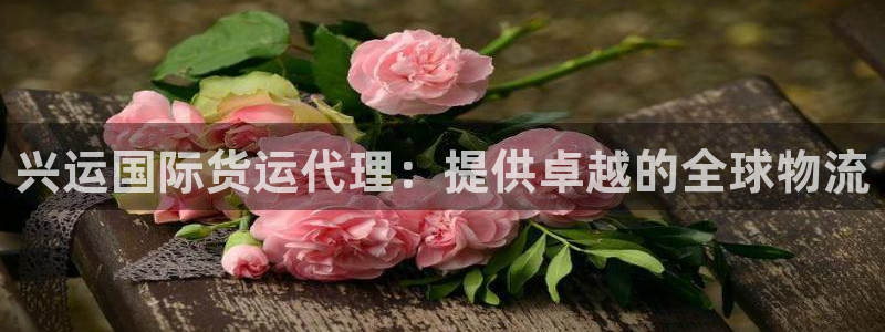尊龙网址是多少：兴运国际货运代理：提供卓越的全球物流