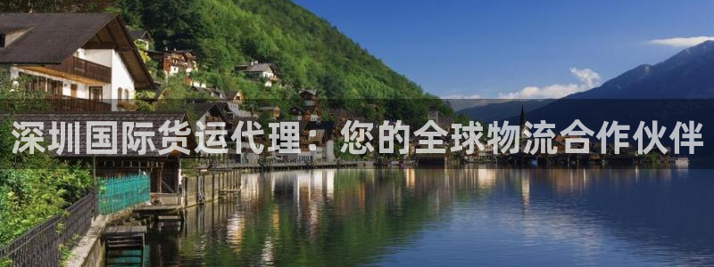 尊龙凯时几百万怎么下：深圳国际货运代理：您的全球物流合作