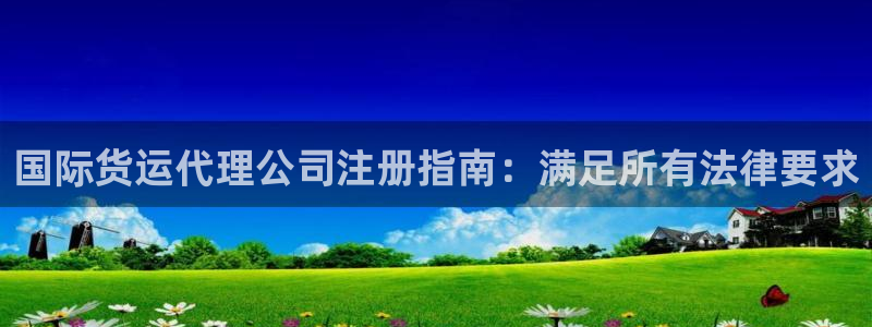 尊龙凯时网站是什么地方人开的：国际货运代理公司注册指南：