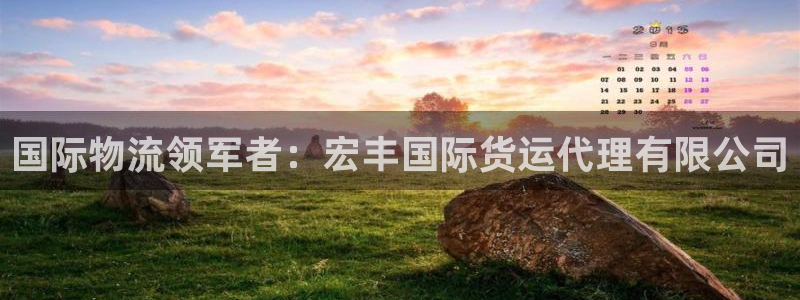 尊龙凯时登陆：国际物流领军者：宏丰国际货运代理有限公司
