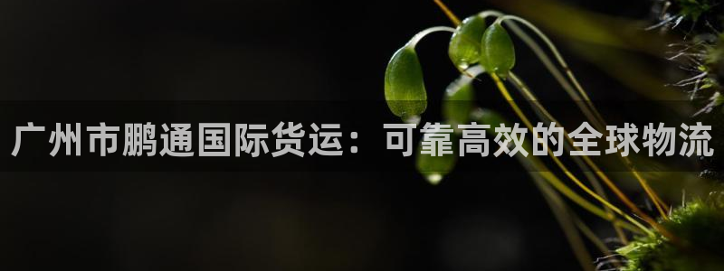 尊龙人生就是-首页(中国)有限公司：广州市鹏通国际货运：