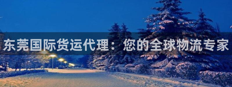 尊龙凯时企业文化：东莞国际货运代理：您的全球物流专家