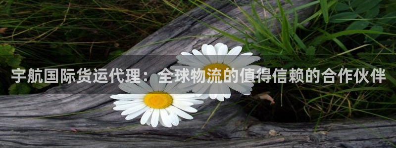 尊龙平台登录：宇航国际货运代理：全球物流的值得信赖的合作