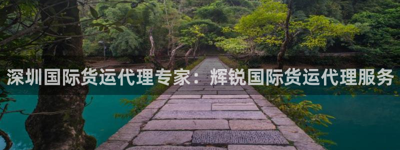 尊龙凯时白家乐：深圳国际货运代理专家：辉锐国际货运代理服