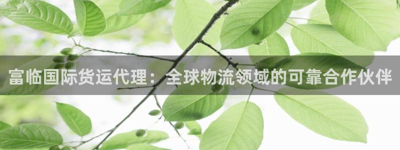尊龙凯时的最新消息：富临国际货运代理：全球物流领域的可靠