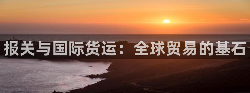尊龙凯时防屏蔽网址：报关与国际货运：全球贸易的基石
