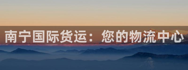 尊龙集团有限公司：南宁国际货运：您的物流中心