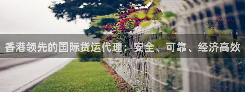 尊龙最近一次露面：香港领先的国际货运代理：安全、可靠、经