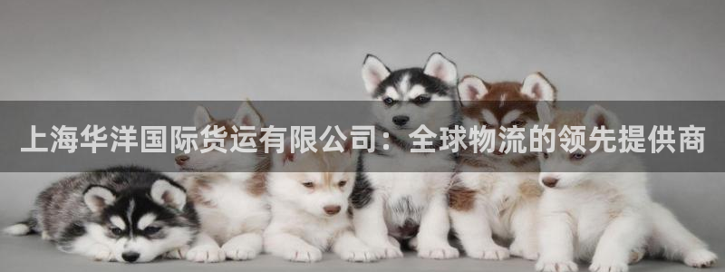 尊龙 6：上海华洋国际货运有限公司：全球物流的领先提供商