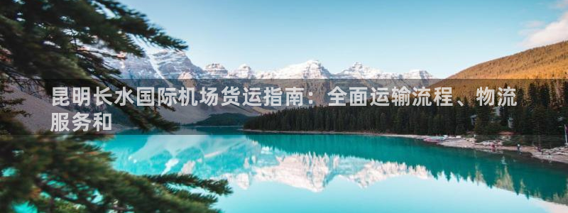 尊龙凯时人生就是博游戏网站：昆明长水国际机场货运指南：全