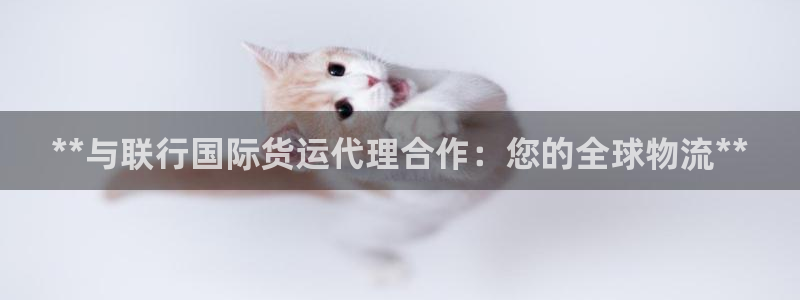尊龙 国外：**与联行国际货运代理合作：您的全球物流**