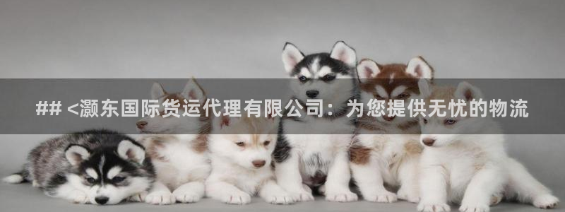 尊龙人生就是博旧版手机可靠送38元：## <灏东国际货运