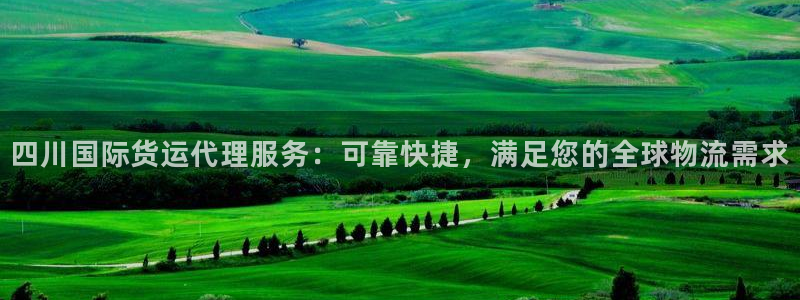 尊龙ag旗舰厅官网官方入口：四川国际货运代理服务：可靠快