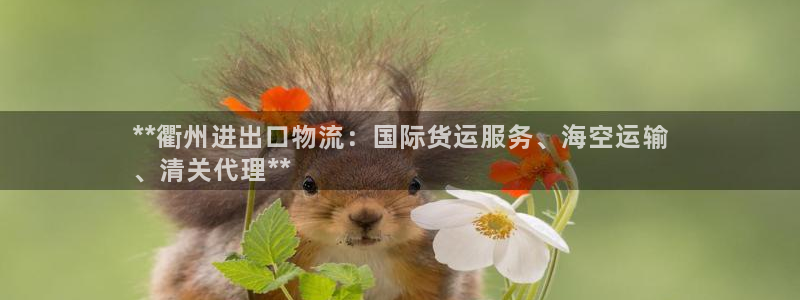 尊龙凯时人生就是博官网登录：**衢州进出口物流：国际货运